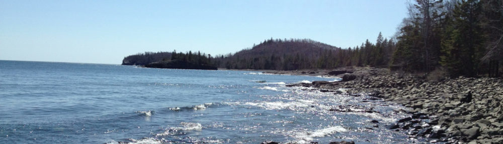 AW Lab – Environmental Health Microbiology and Water Quality Research Group